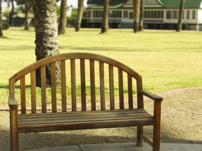 绚丽光线天坛公园景色摄影图片