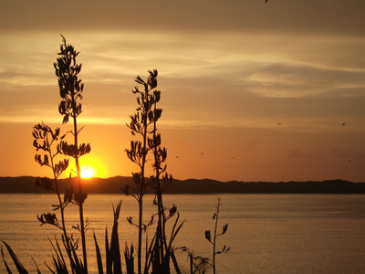 傍晚海上日落唯美jpg图片免费下载_编号z2oh90m9v_图精灵