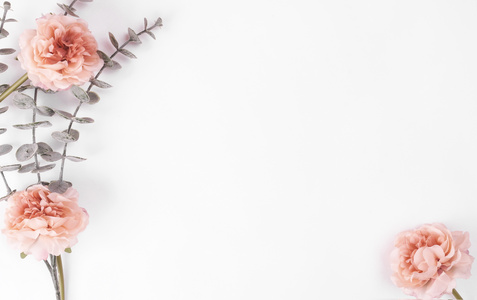 母亲节康乃馨鲜花背景图片