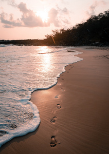 外國海邊浴場風景圖片