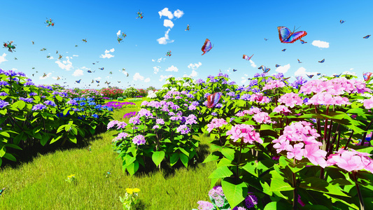天空云彩与红色的花卉植物高清图片
