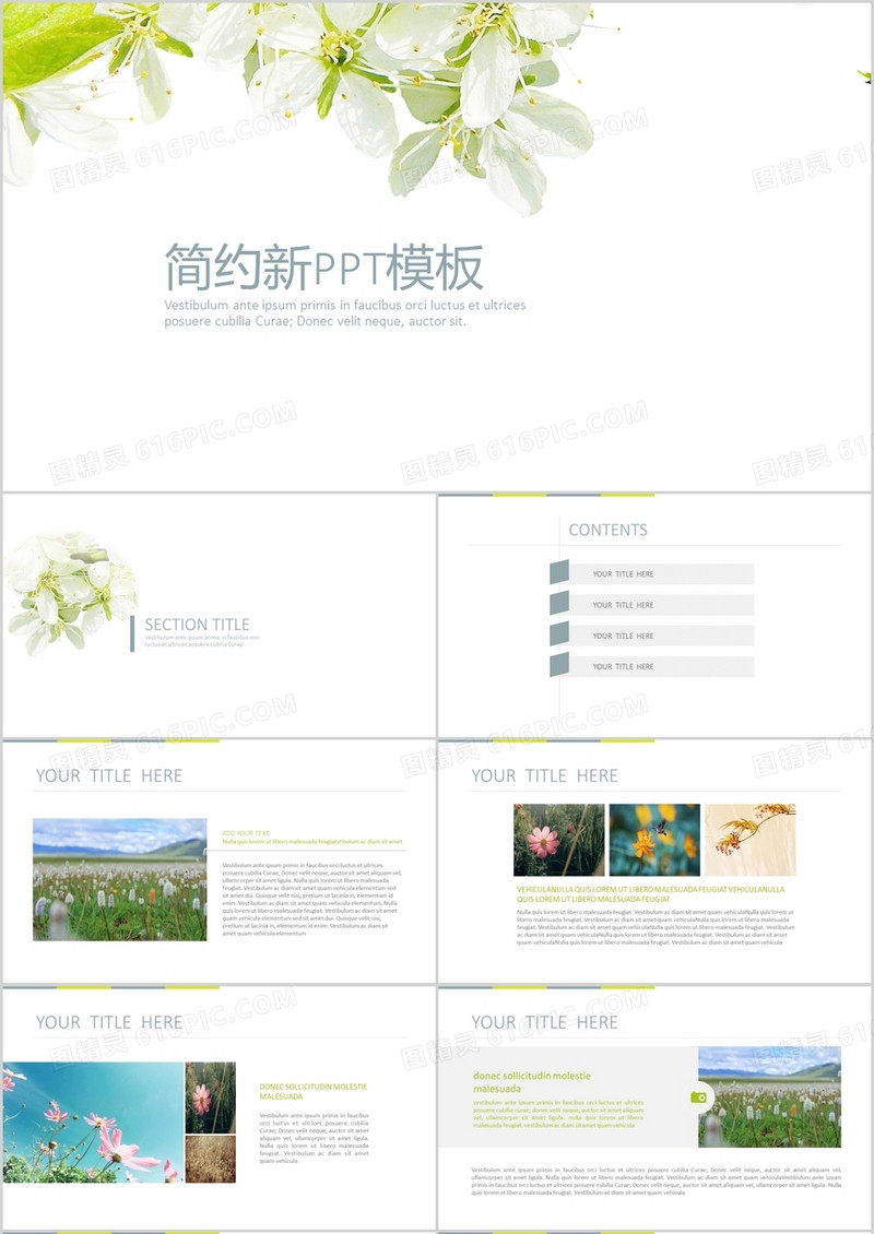淡雅简约小清新介绍PPT模板