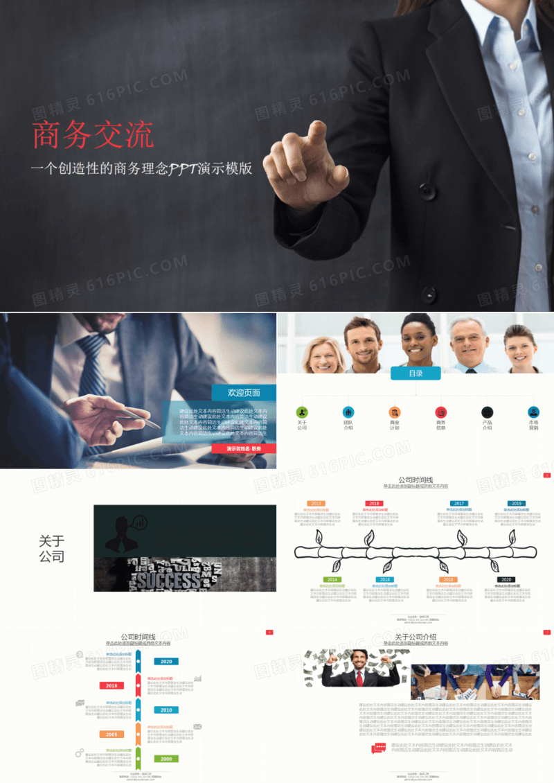 商业计划企业介绍数据图表总结汇报PPT模板