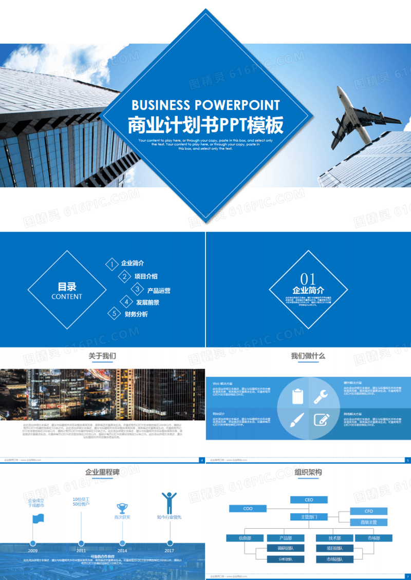 蓝色商务项目评估公司介绍商业计划书PPT模板