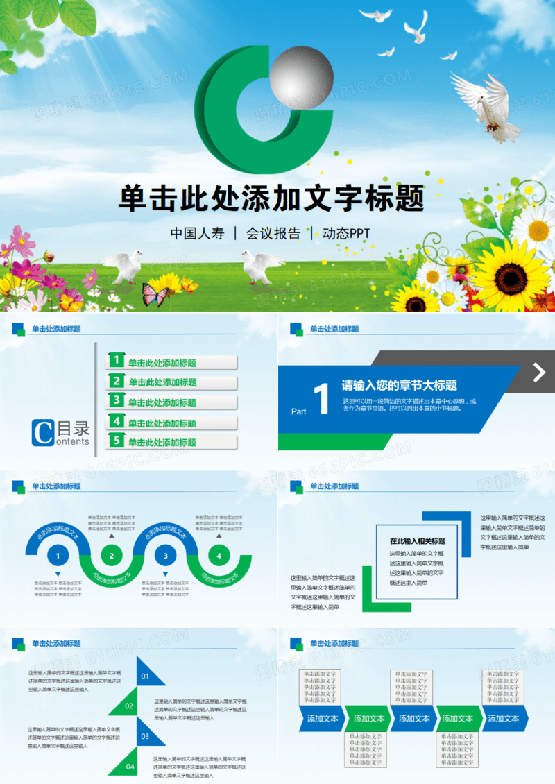精美中国人寿保险公司专用PPT模板