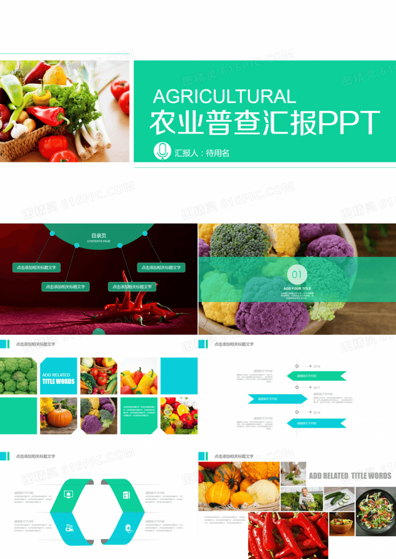 农业普查汇报PPT模板