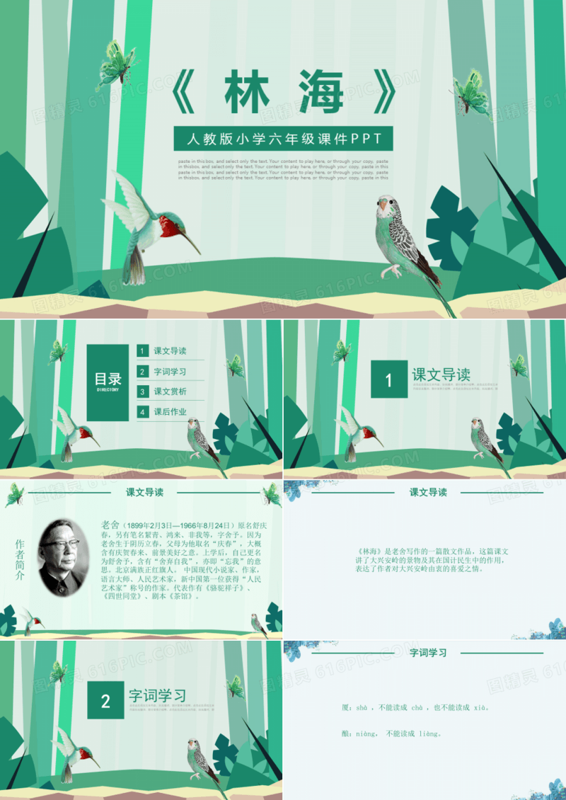 人教版六年级ppt课件之林海