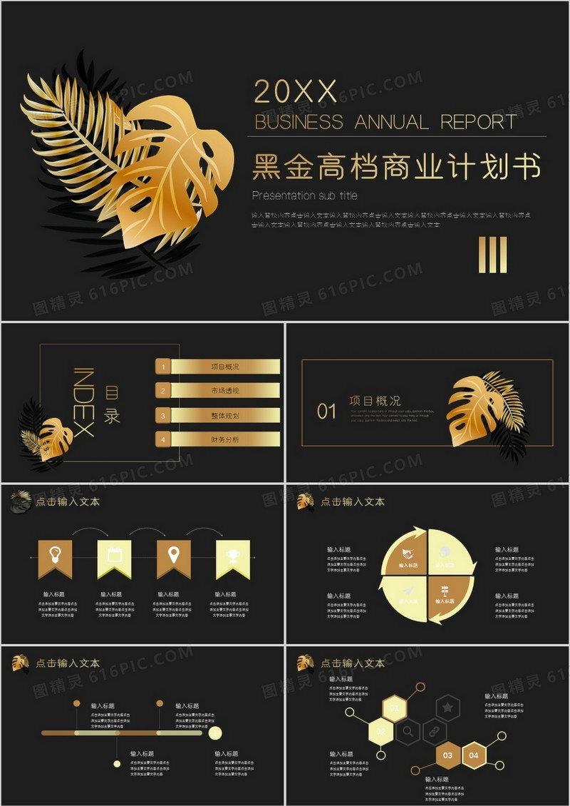 黑金大气商业融资计划书PPT模板