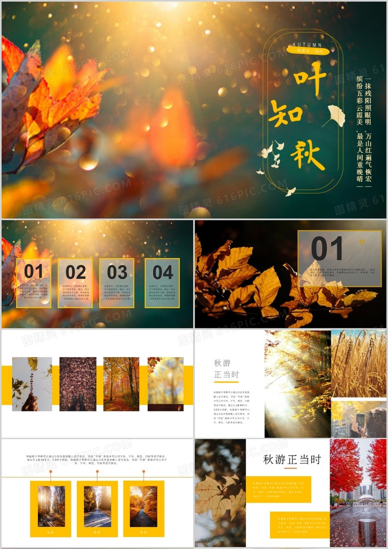一叶知秋秋游正当时通用PPT模板