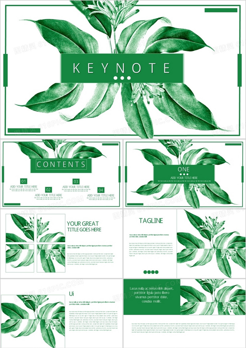绿色小清新风格演示汇报keynot模板
