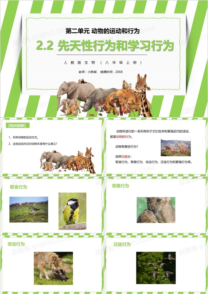 部编版八年级生物上册先天性行为和学习行为PPT模板