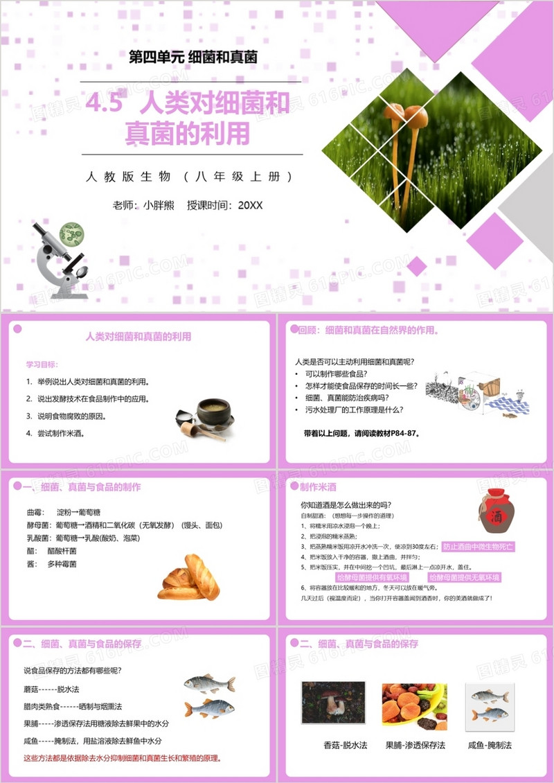 部编版八年级生物上册人类对细菌和真菌的利用课件PPT模板