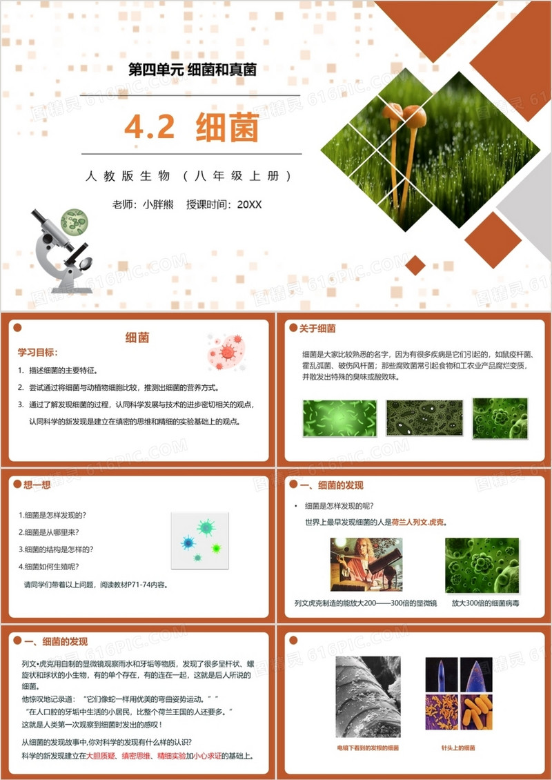 部编版八年级生物上册细菌课件PPT模板
