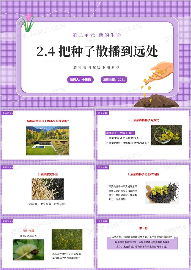教科版四年级下册把种子散播到远处课件PPT模板 