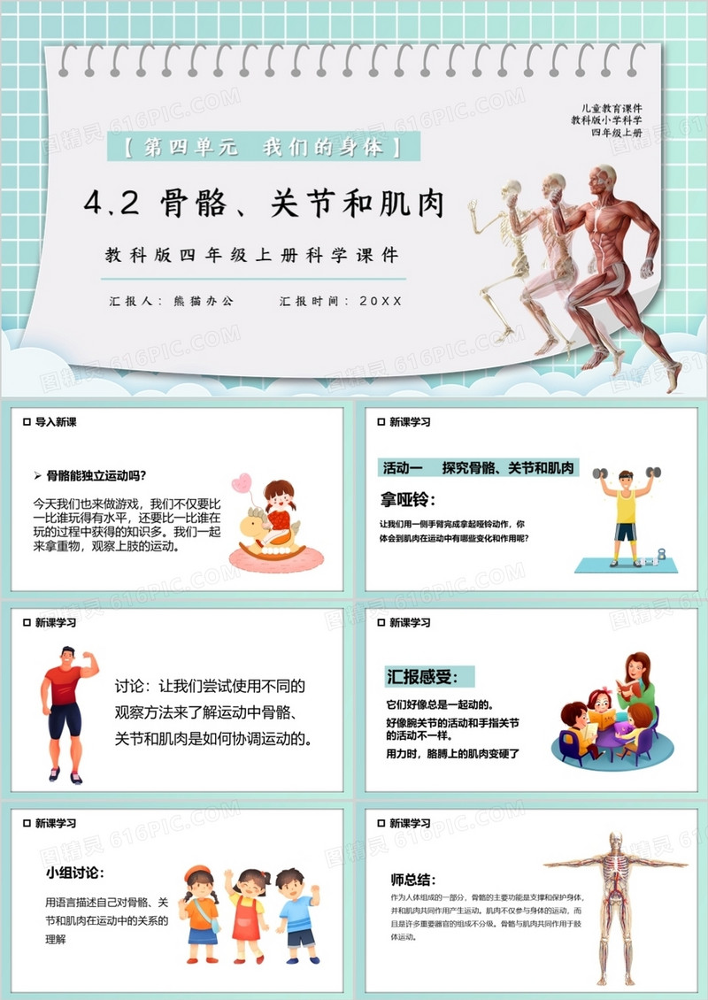 教科版四年级科学上册骨骼关节和肌肉课件PPT模板