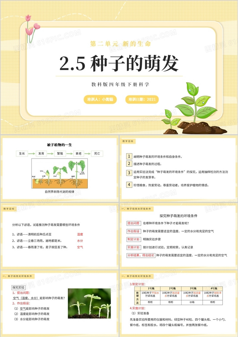 教科版四年级下册种子的萌发课件PPT模板 