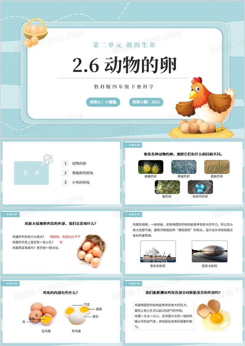 教科版四年级下册动物的卵课件PPT模板 