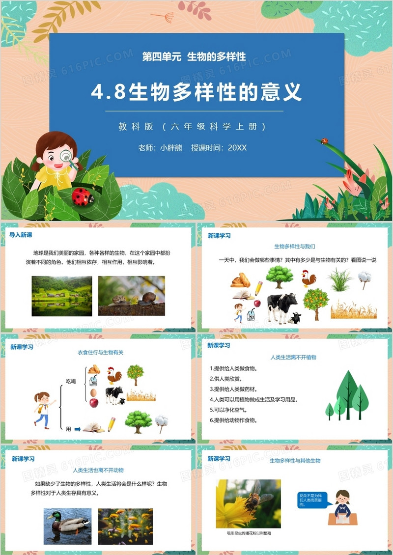 教科版六年级科学上册生物多样性的意义PPT模板