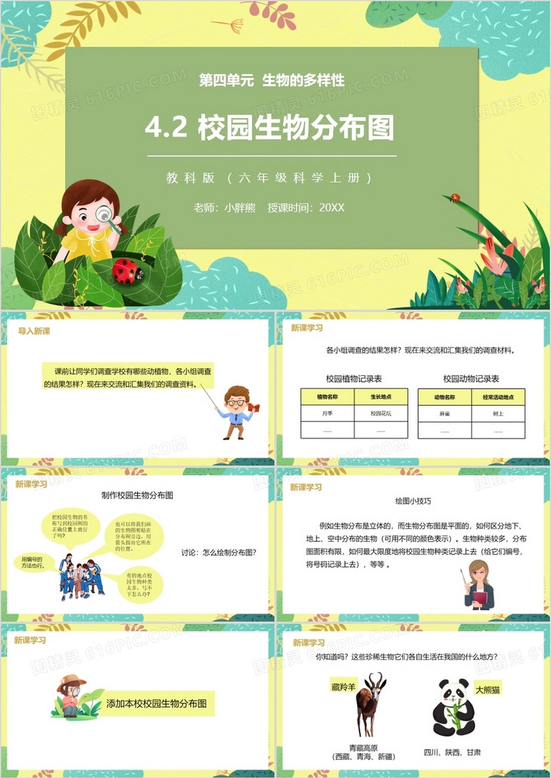 教科版六年级科学上册校园生物分布图PPT模板
