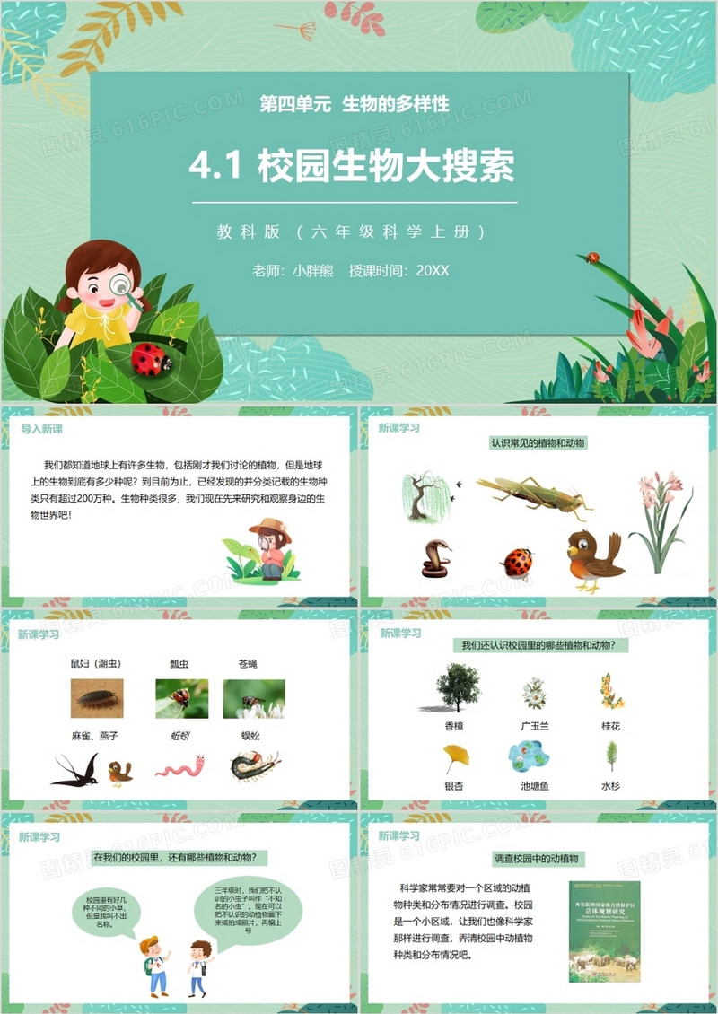 教科版六年级科学上册校园生物大搜索PPT模板