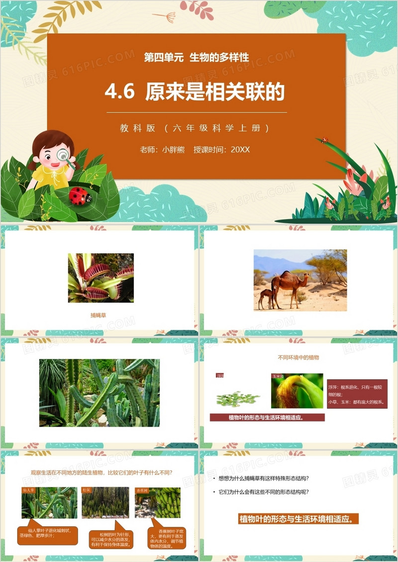 教科版六年级科学上册原来是相关联的PPT模板