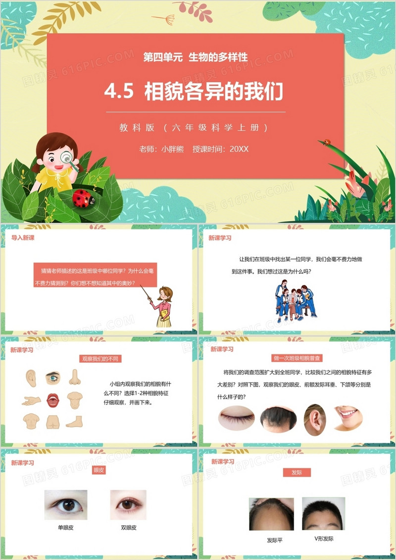 教科版六年级科学上册相貌各异的我们PPT模板