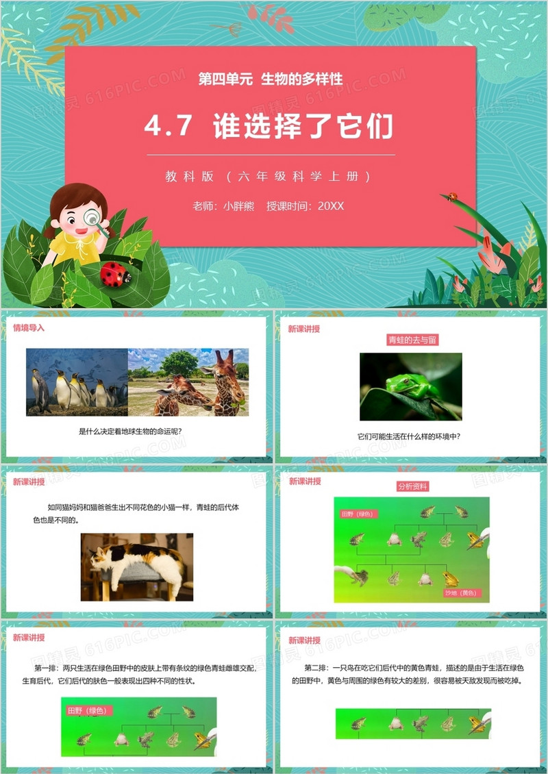 教科版六年级科学上册谁选择了它们PPT模板