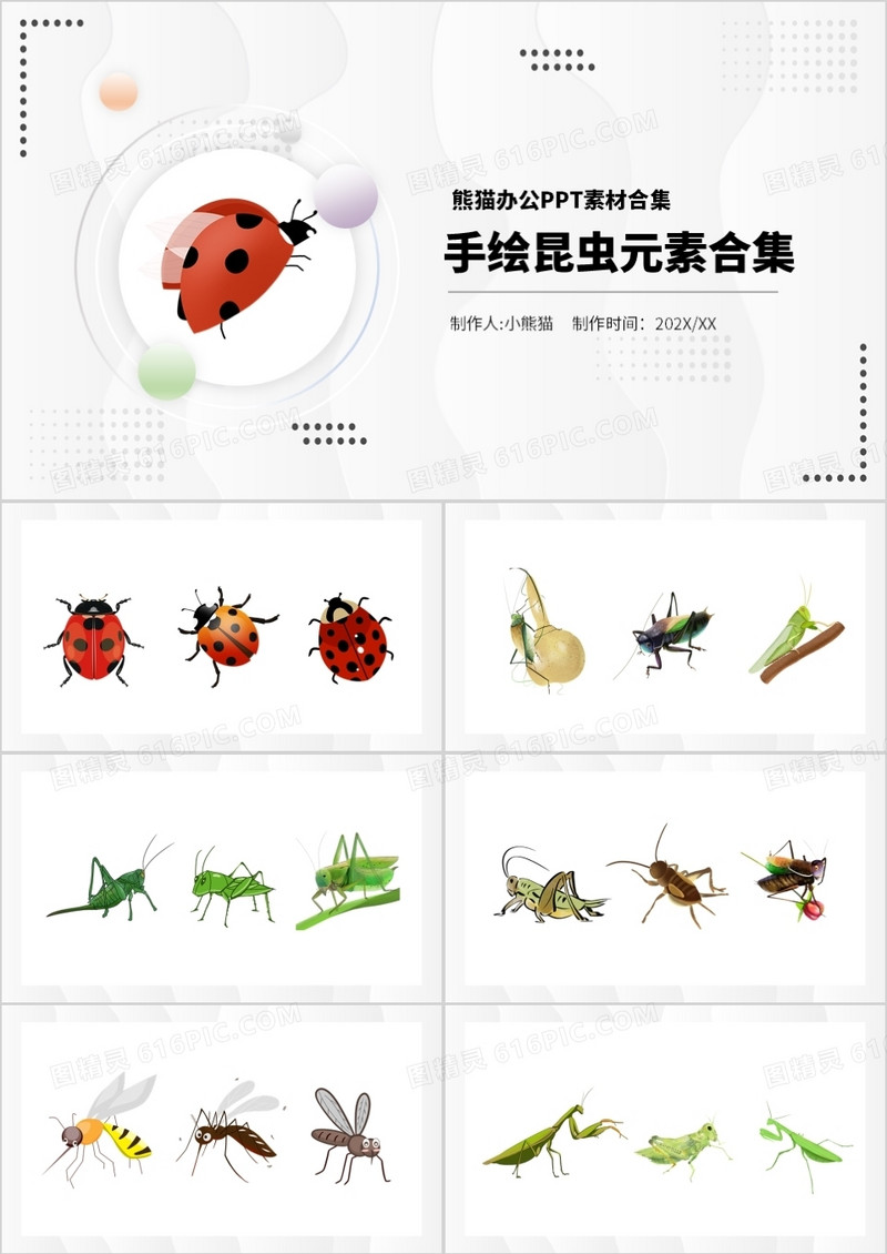 手绘昆虫元素PPT素材合集