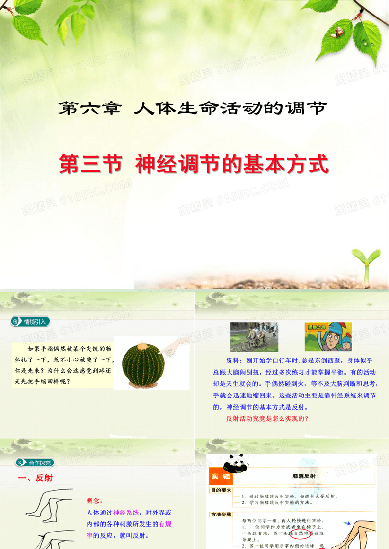 人教版初中生物七年级下册《6.3第三节 神经调节的基本方式》优质课件(两套)