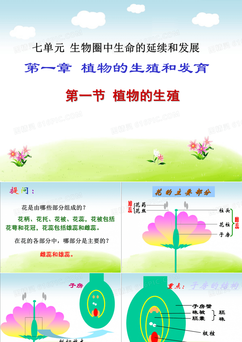 初中生物八年级下册《1.1第一节 植物的生殖》优质课件(两套)