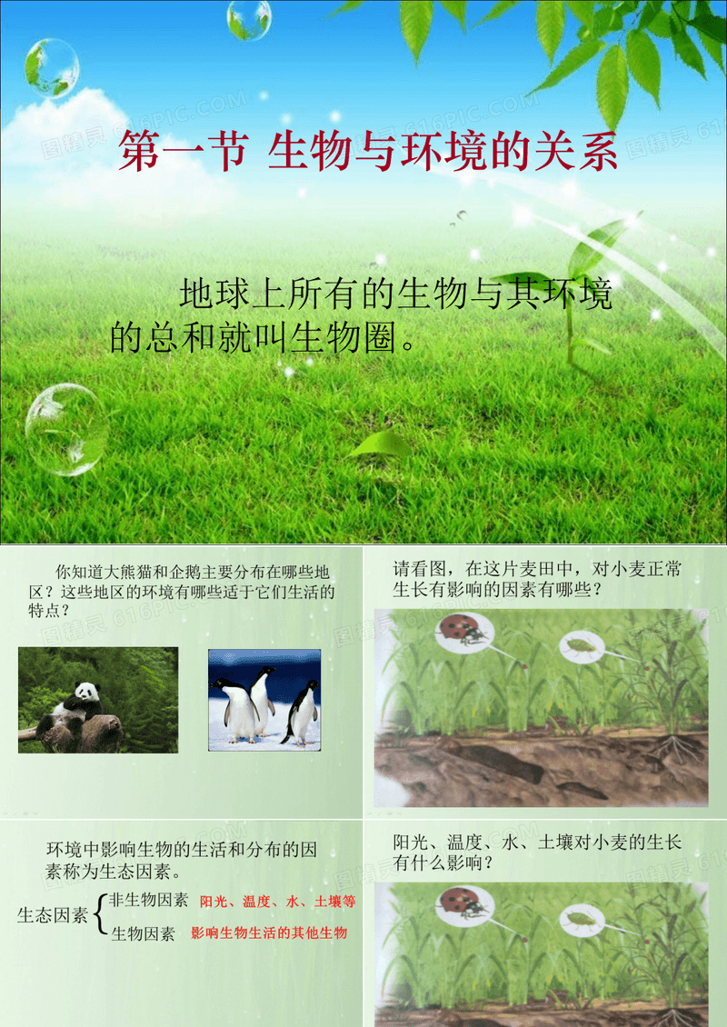 初中生物七上《2.1第一节 生物与环境的关系》课件(两套)