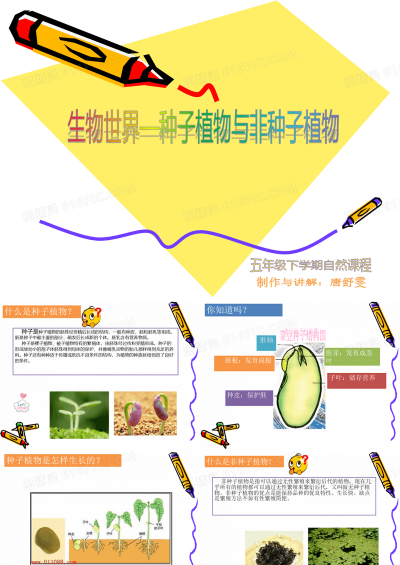 自然课件植物种子与非植物种子