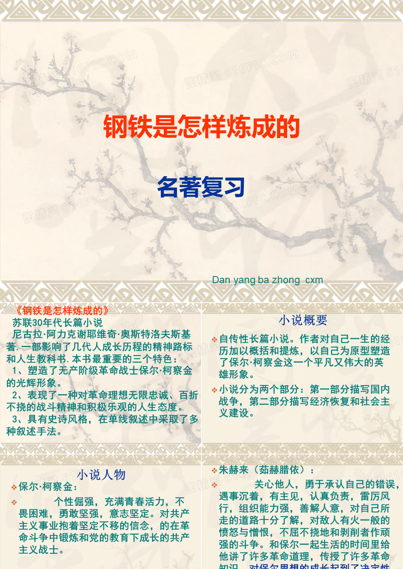 钢铁是怎样练成的复习题..
