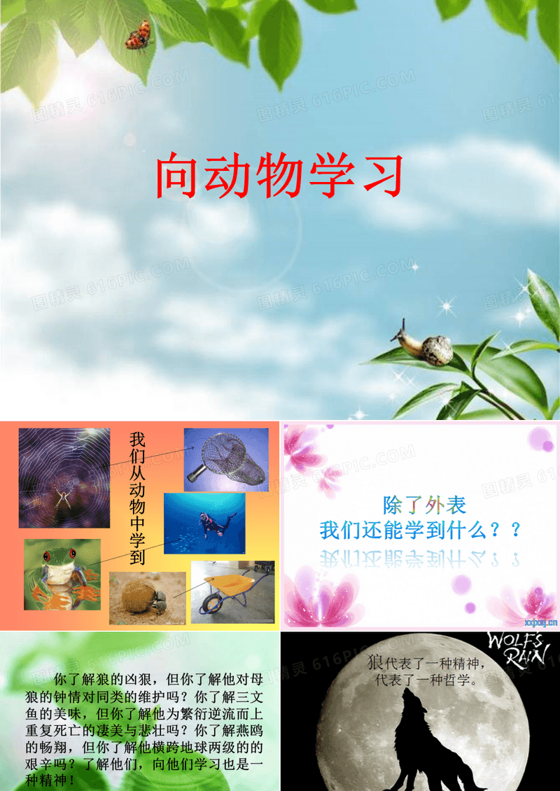 向动物学习