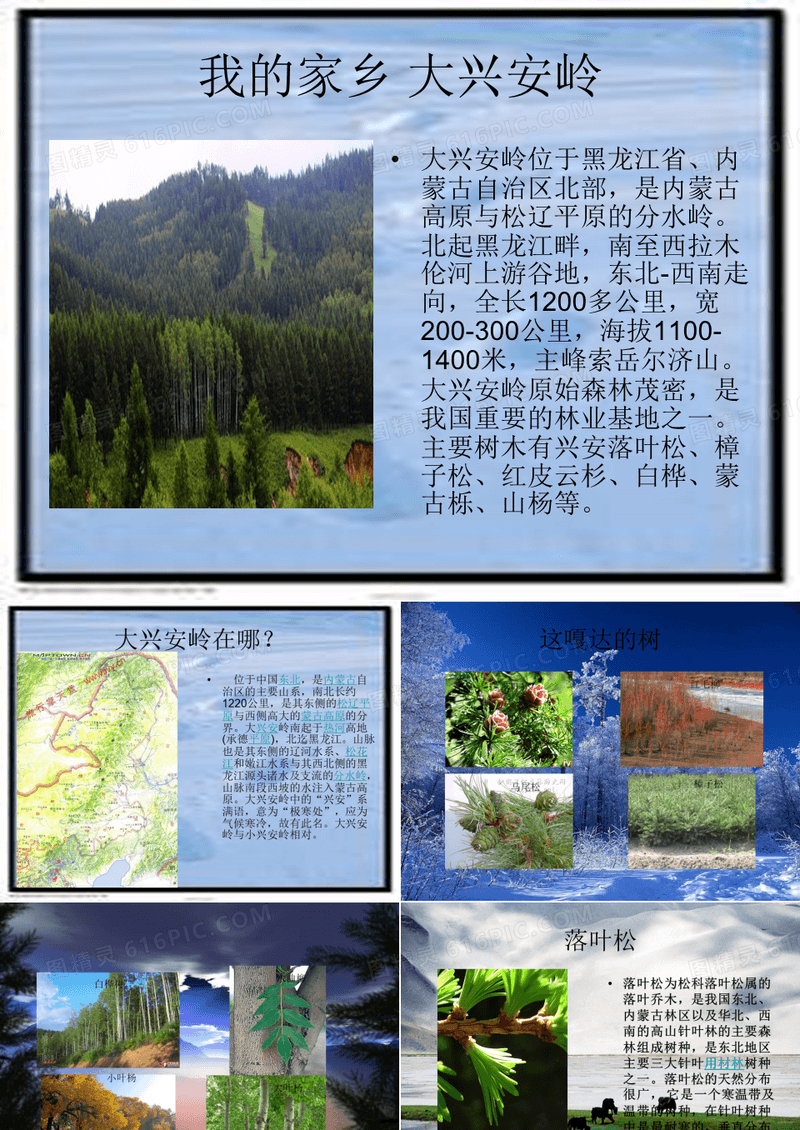 家乡介绍 大兴安岭 PPT