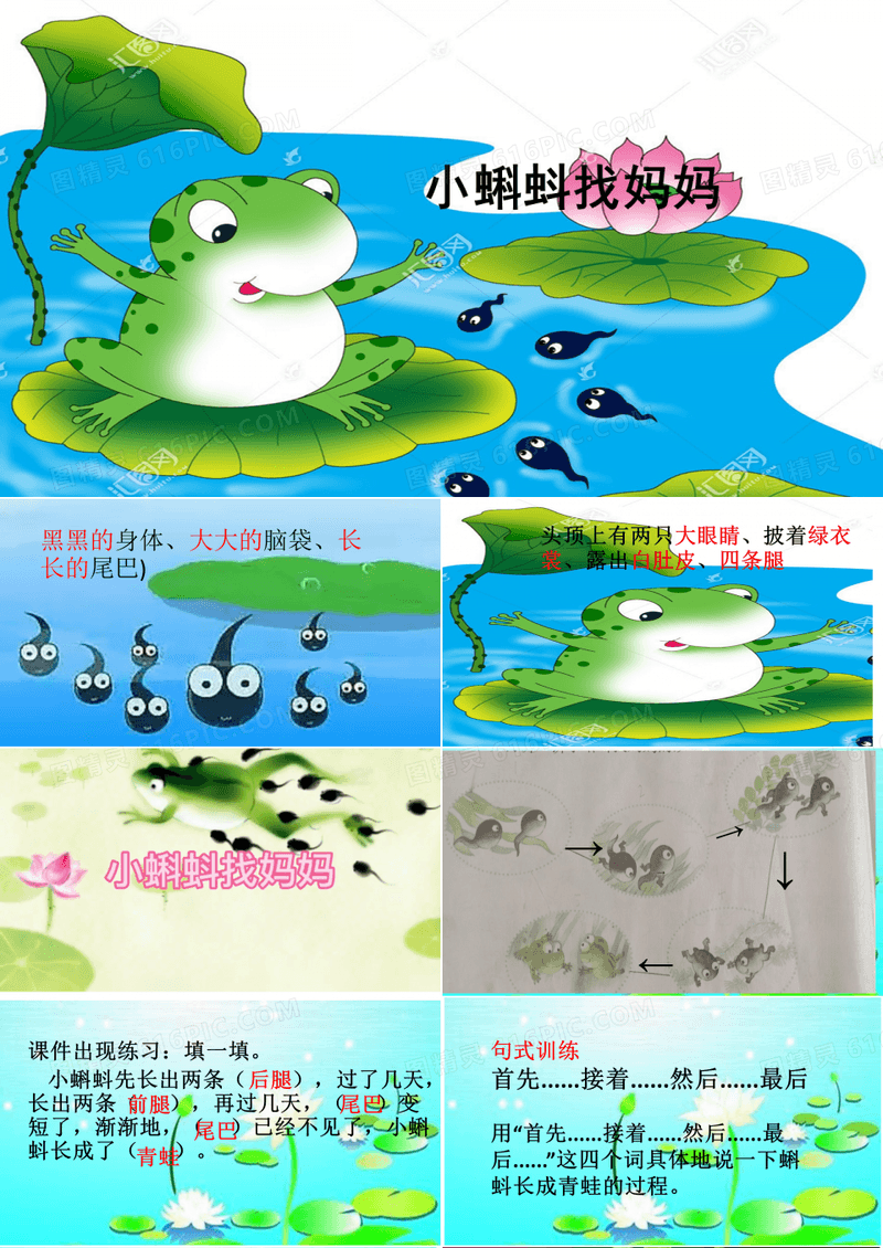 《小蝌蚪找妈妈》课件