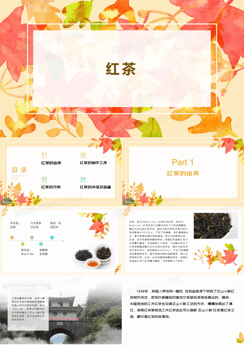 红茶的介绍