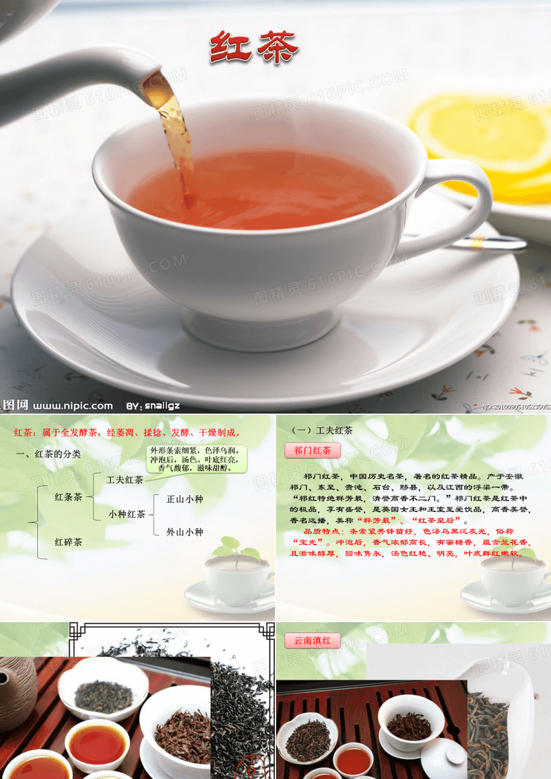 红茶的分类