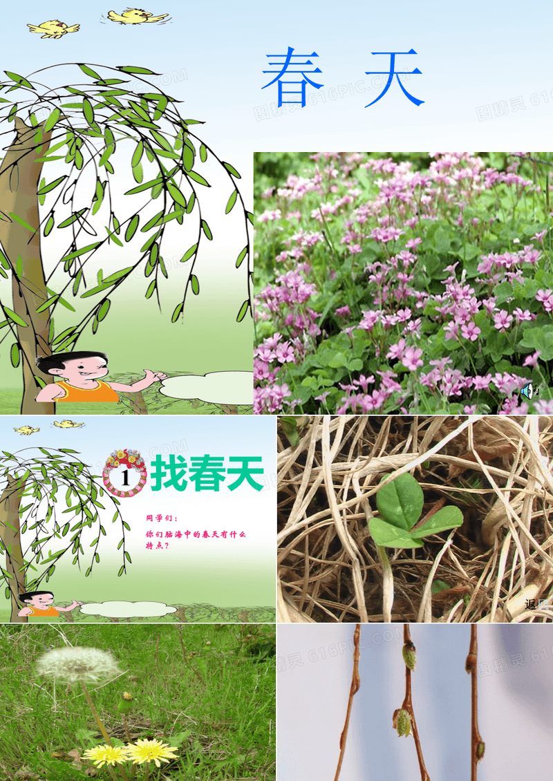 《找春天》