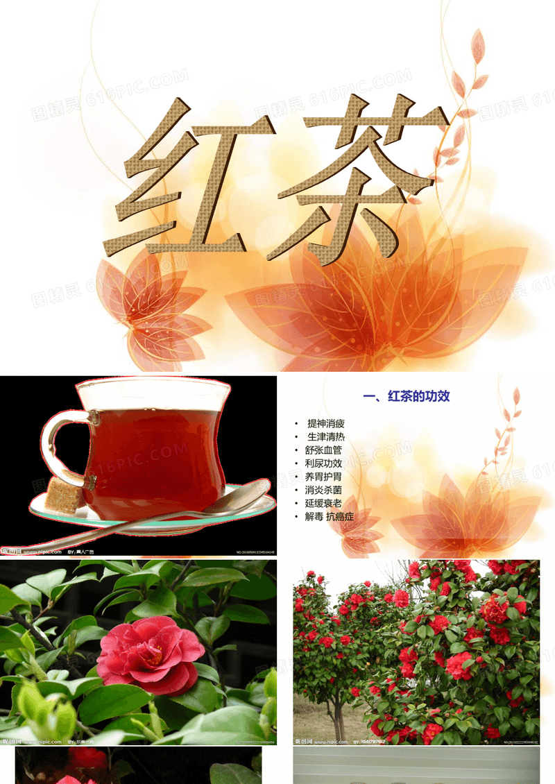 红茶PPT