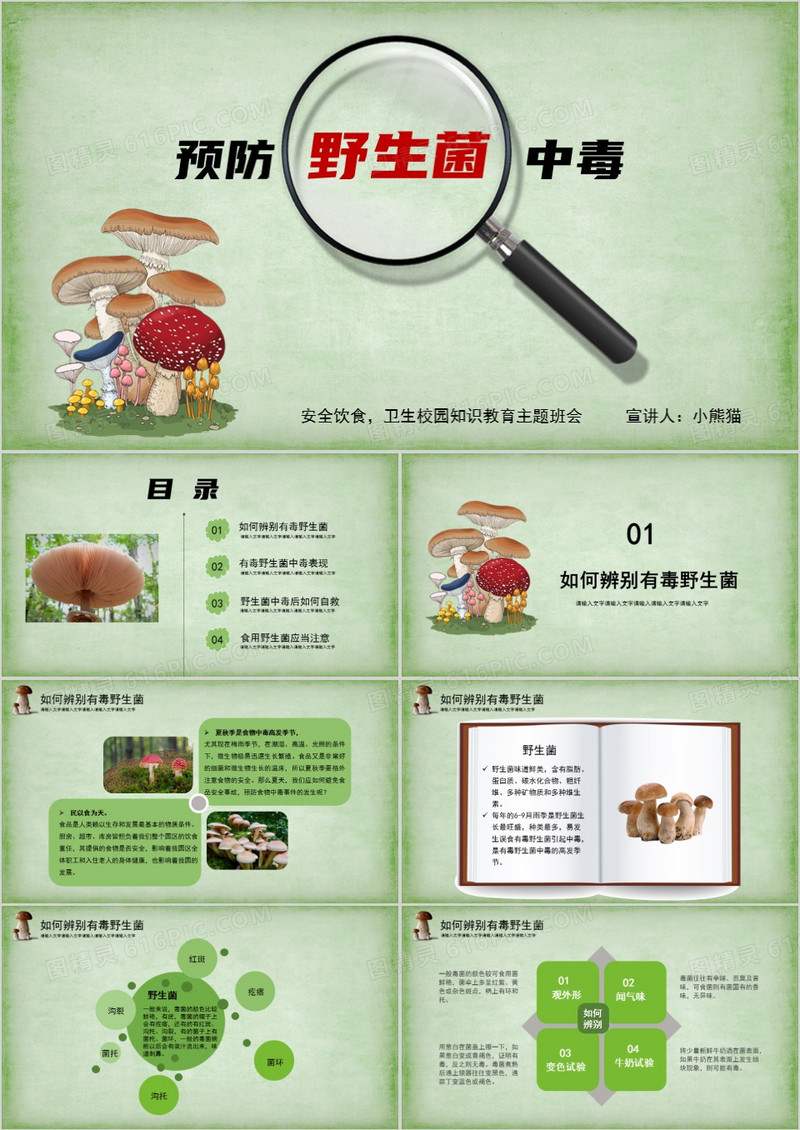 预防野生菌中毒教育主题班会PPT模板