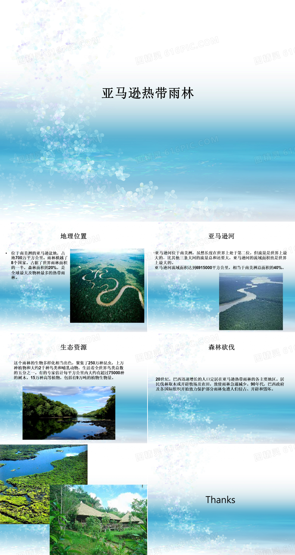 亚马逊热带雨林PPT模板免费下载_编号136c56x01_图精灵