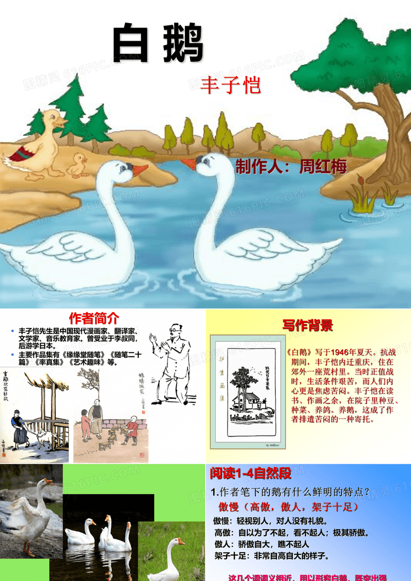 丰子恺《白鹅》