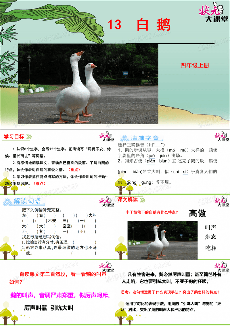 白鹅