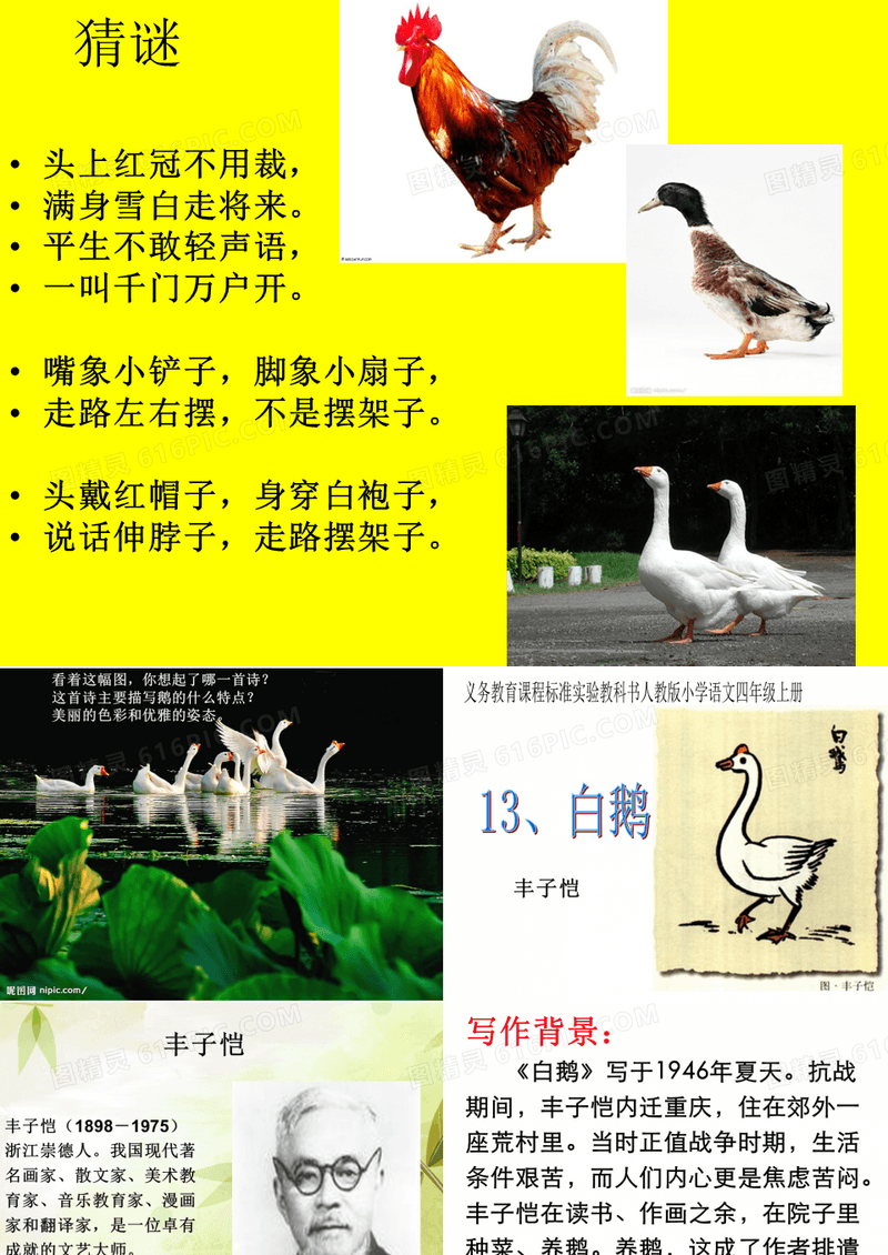 白鹅