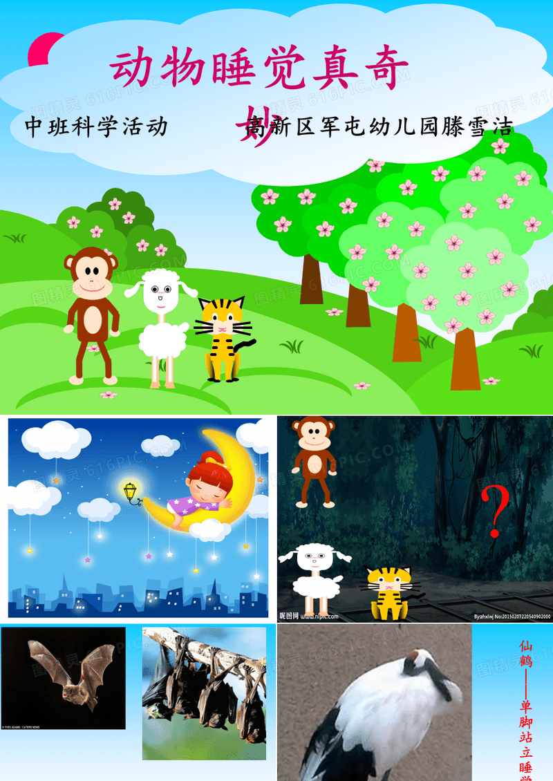 幼儿园课件—《动物睡觉真有趣》教学ppt