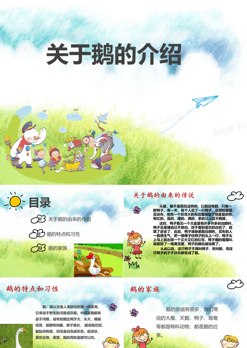 鹅的介绍