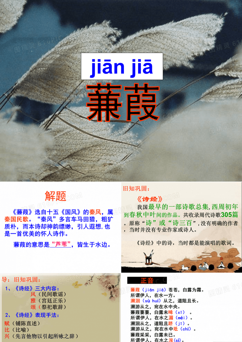 蒹葭公开课