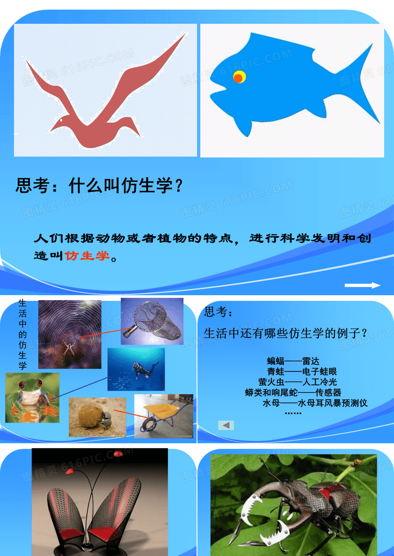 小学美术六年级上册《向动物朋友学习》精品课件