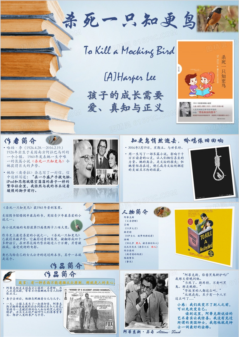 《杀死一只知更鸟心》名著导读